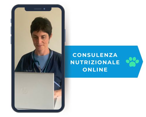 veterinario nutrizionista online
