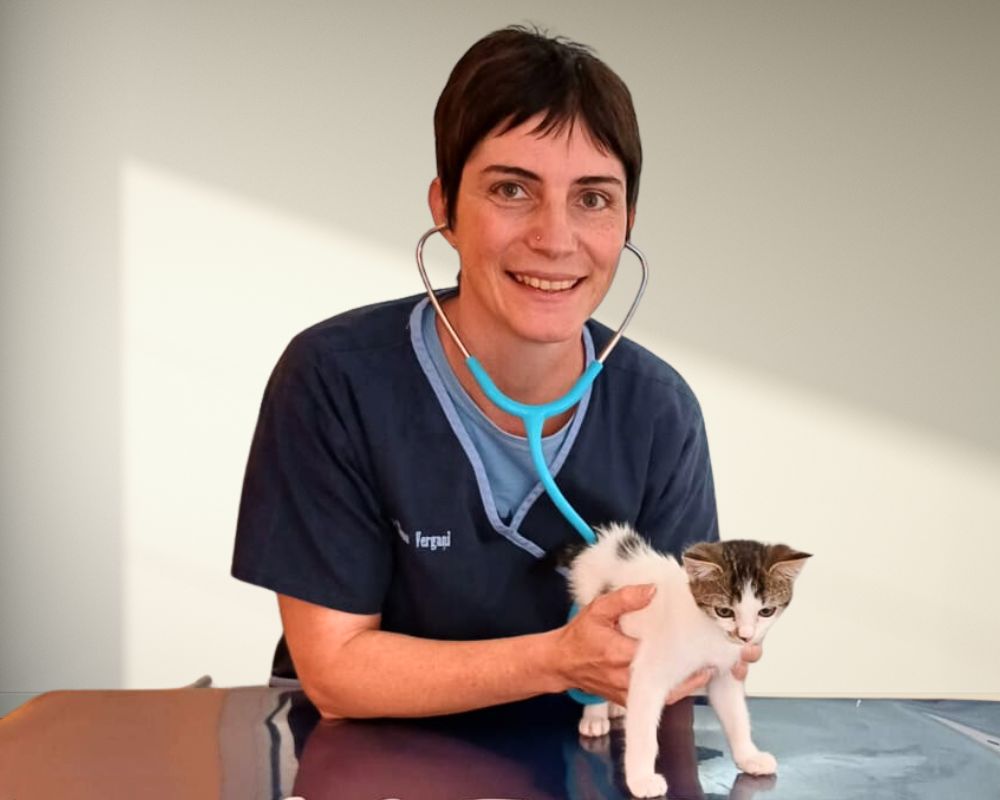 Veterinario esperto in nutrizione sorridente con un gattino magro bianco e marroncino